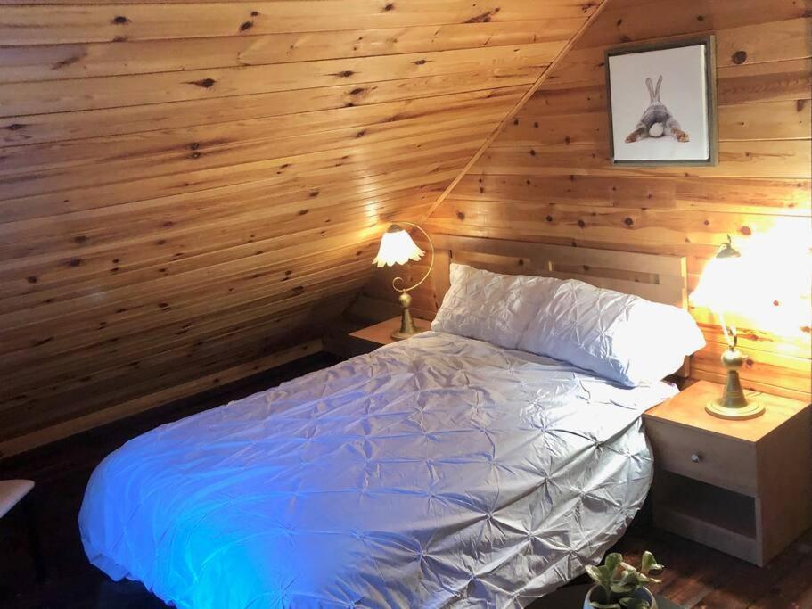 Chalet Riviere - Bord De Riviere - Romantique Saint-Alexis-des-Monts Exterior foto